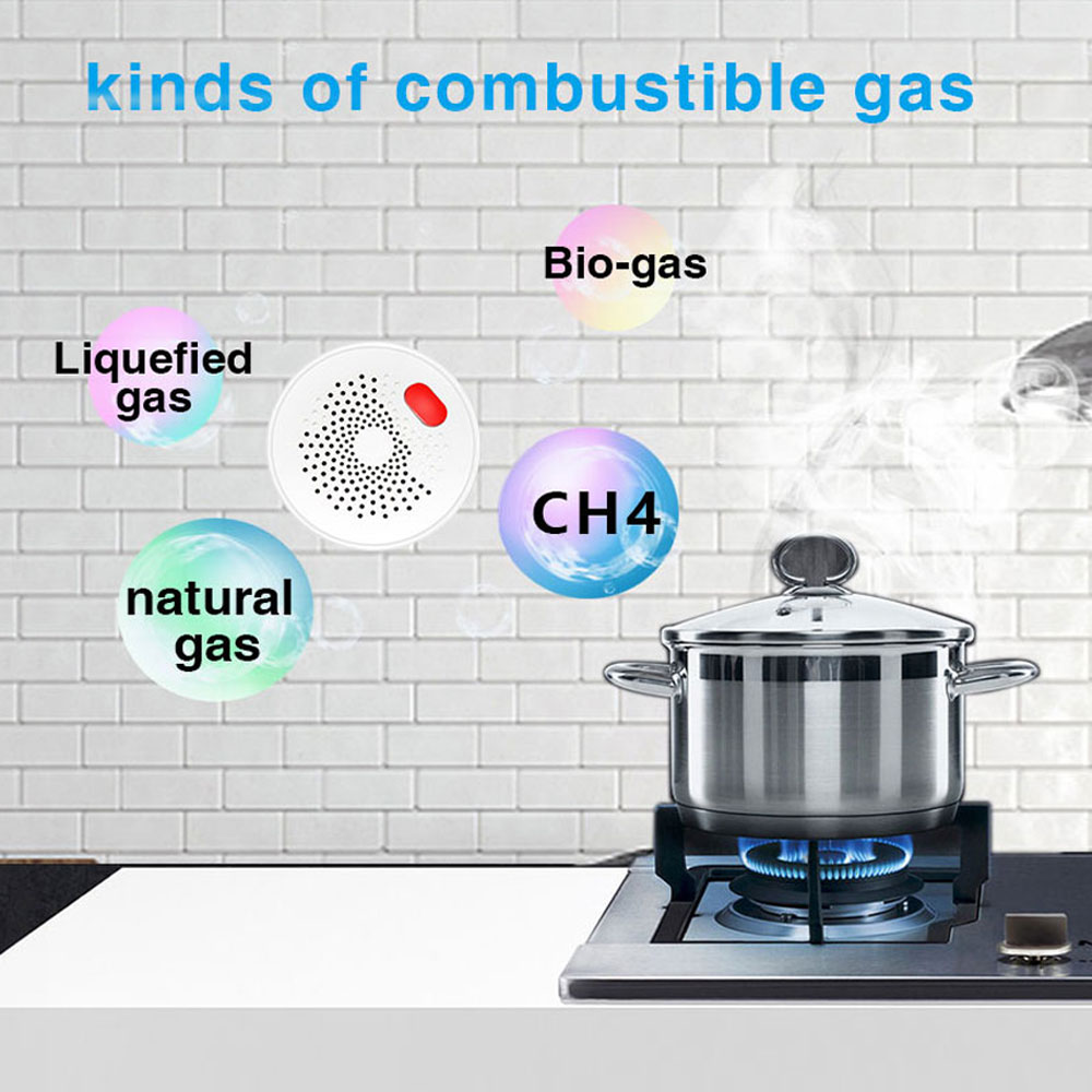 PST RQ400A Датчик CH4, LPG, BIO - WiFi Tuya Smart