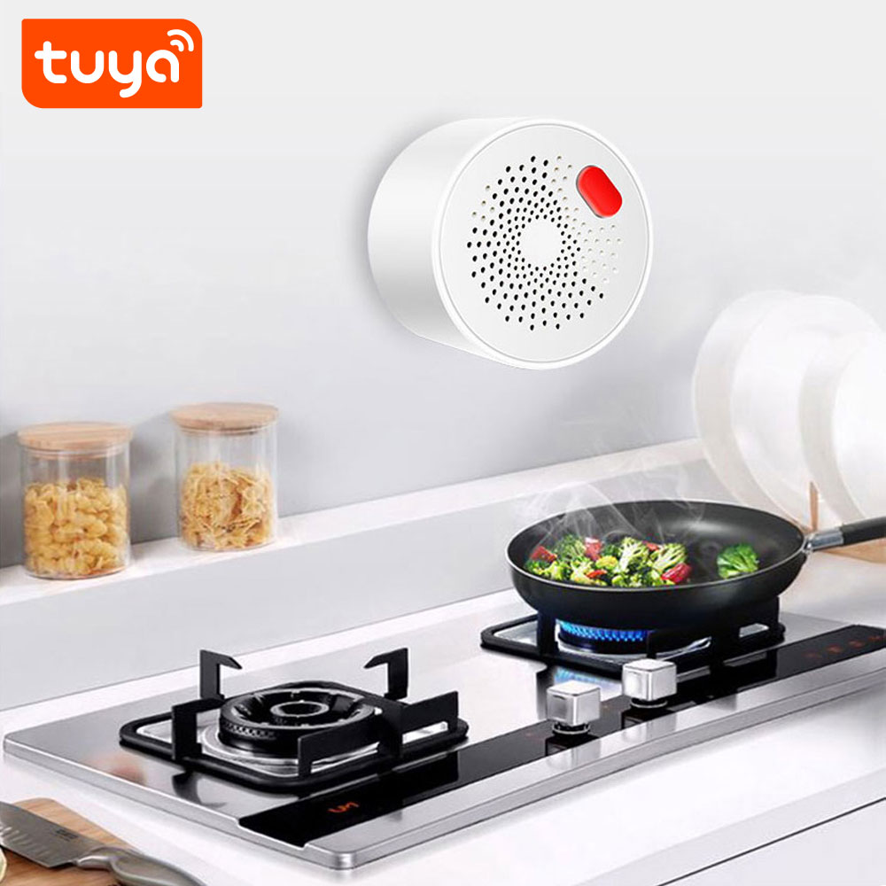PST RQ400A Датчик CH4, LPG, BIO - WiFi Tuya Smart