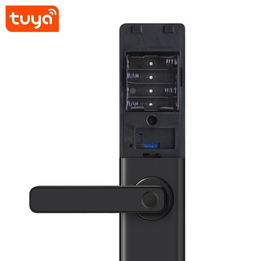 PST PST-Z13-TY Умный дверной замок WiFi Tuya